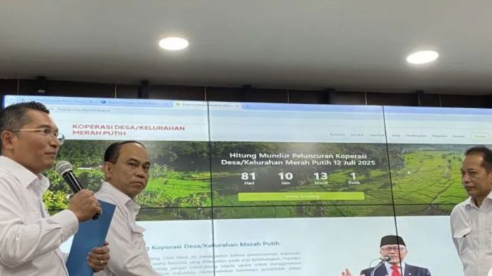Membaca Peluang Ekonomi dari Koperasi Desa Merah Putih Apa itu koperasi desa merah putih