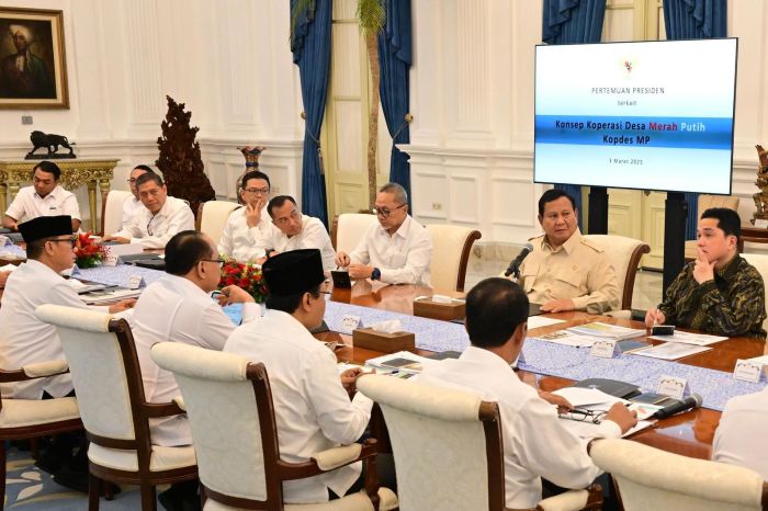Pembentukan koperasi desa merah putih