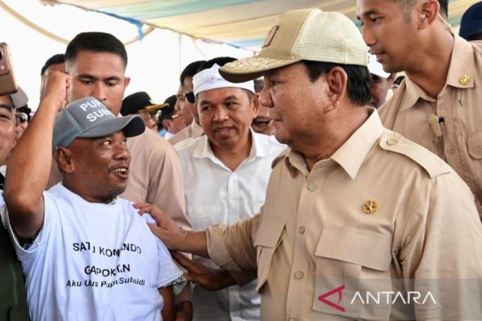 Koperasi merah putih desa